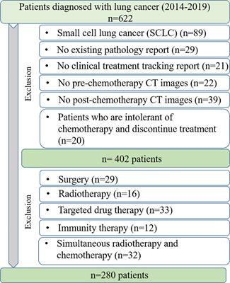 Predictive Radiomic Models for the Chemotherapy Response in Non-Small-Cell Lung Cancer based on Computerized-Tomography Images